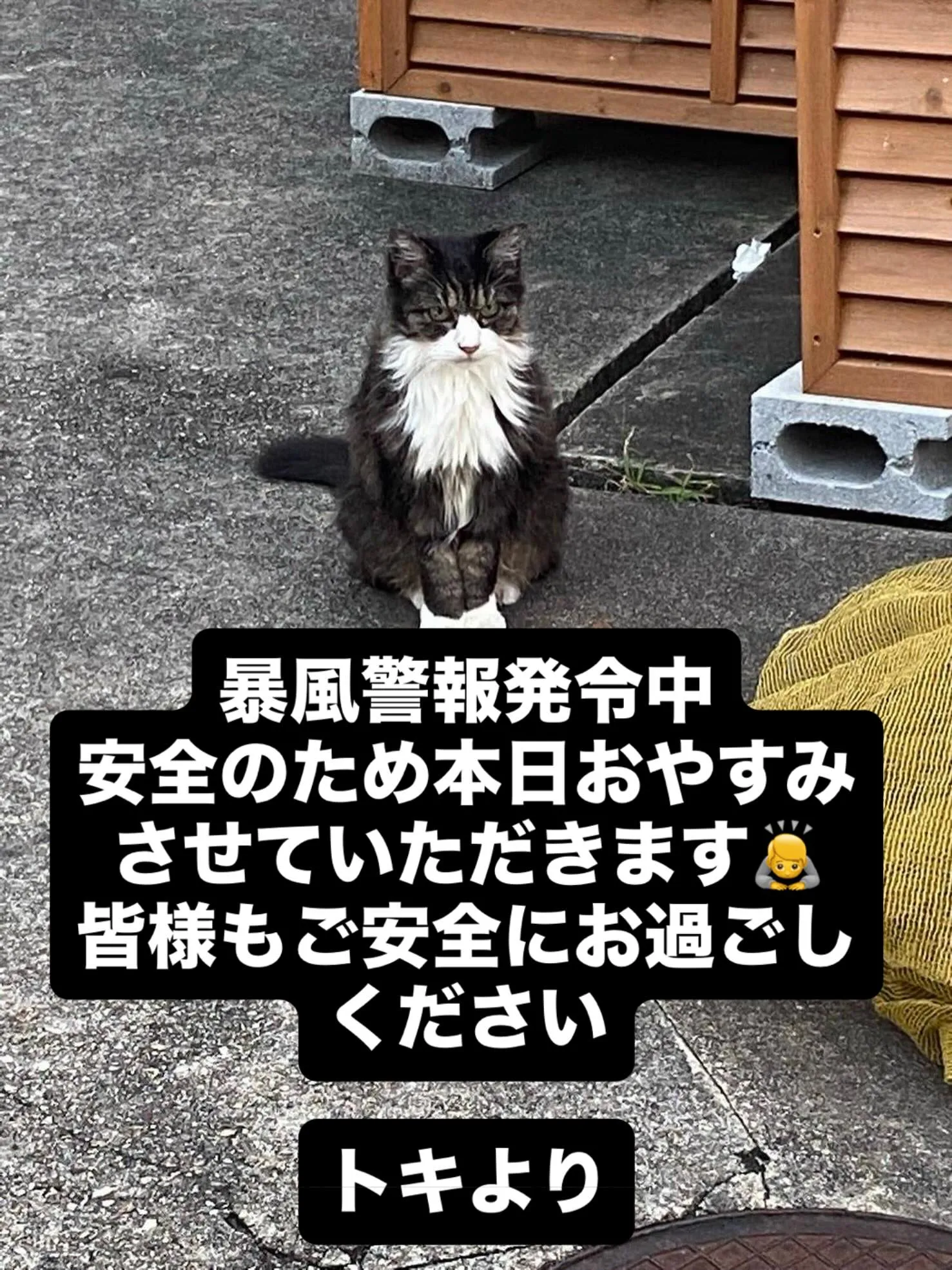 暴風警報発令中